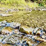 Gorczanska Przystan *
