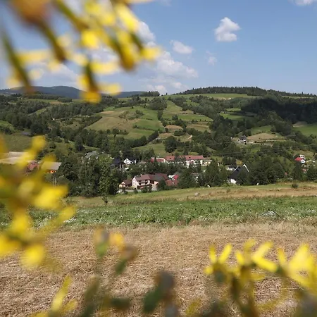 Gorczanska Przystan Tatil Evi *