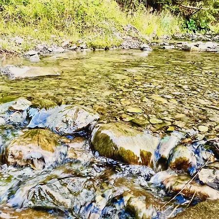 Gorczanska Przystan *