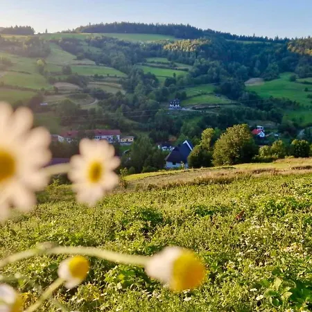 Gorczanska Przystan * Zasadne