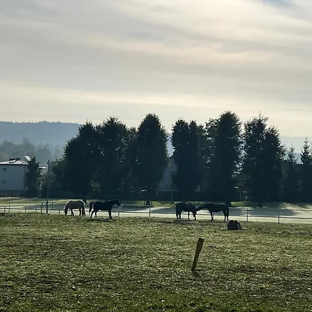 Gorczanska Przystan *