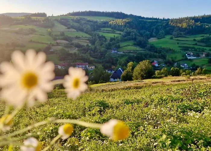 Gorczanska Przystan * Zasadne